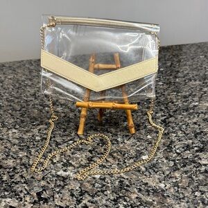 Transparent gold Chain Shoulder Bag